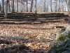 nature4