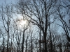 nature7