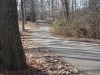 nature8